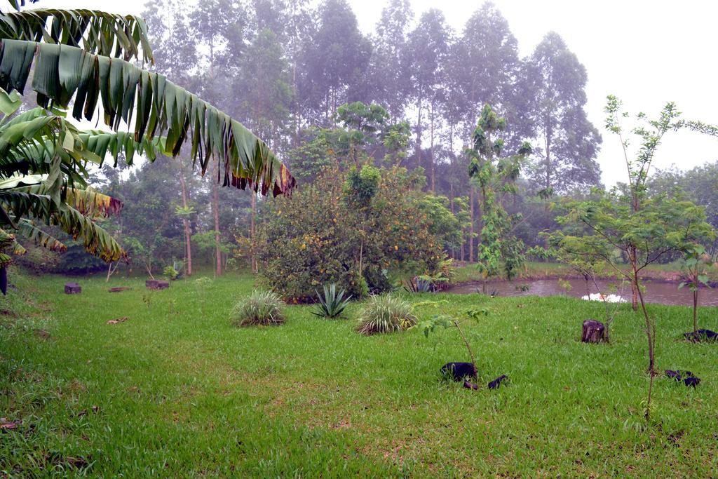 Pousada Guata Pora Foz do Iguacu Luaran gambar