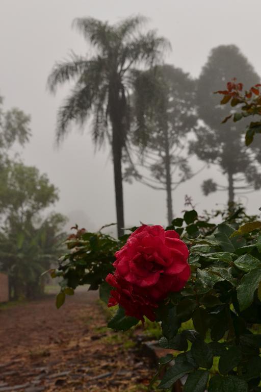 Pousada Guata Pora Foz do Iguacu Luaran gambar