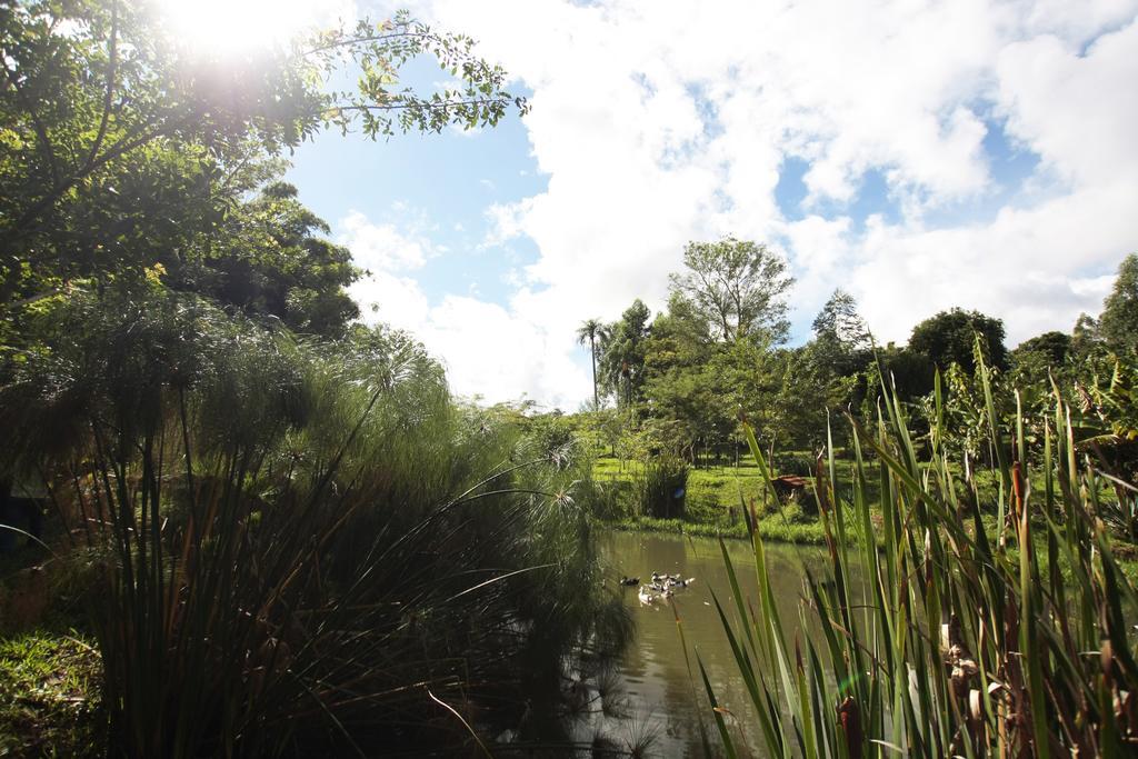 Pousada Guata Pora Foz do Iguacu Luaran gambar