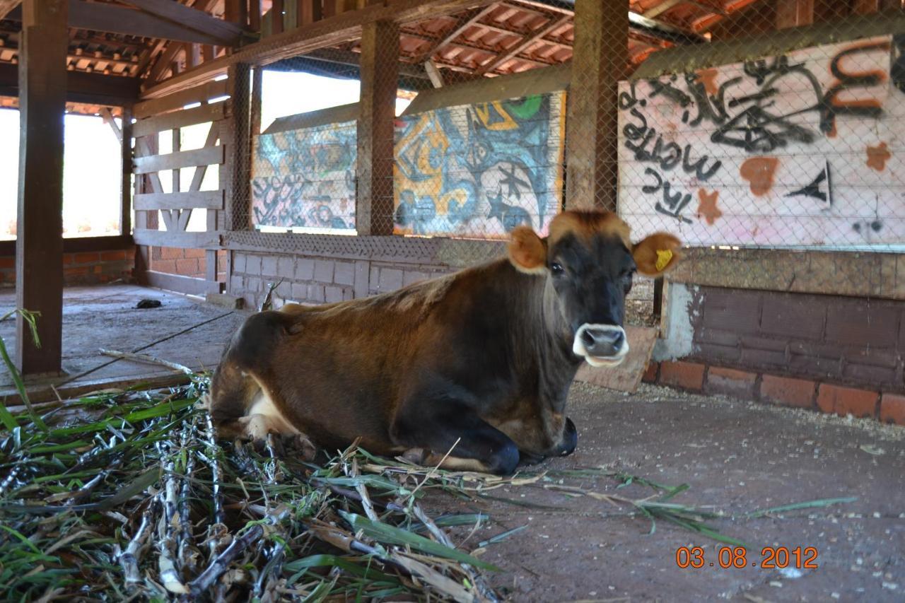 Pousada Guata Pora Foz do Iguacu Luaran gambar